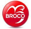 Broco признана Компанией года России!